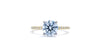 Micro-Pave Round Cut Solitaire